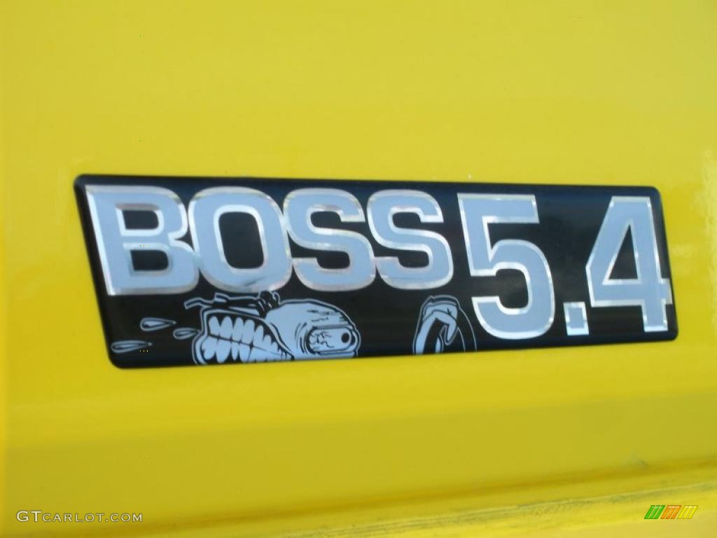 2005 Ford F150 Boss 5.4 SuperCab 4x4 Marks and Logos Photo #46287676