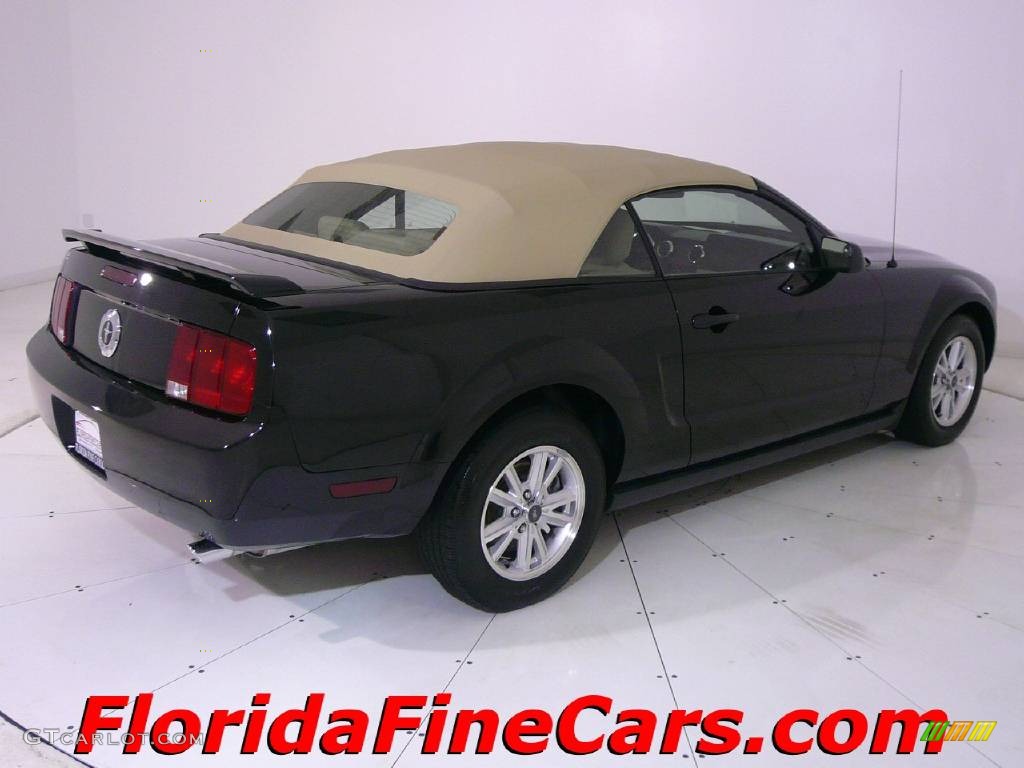 2006 Mustang V6 Premium Convertible - Black / Light Parchment photo #9