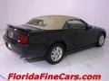 2006 Black Ford Mustang V6 Premium Convertible  photo #9