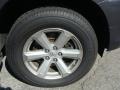 Magnetic Gray Metallic - Highlander 4WD Photo No. 10