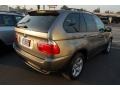 2004 Kalahari Beige Metallic BMW X5 3.0i  photo #3