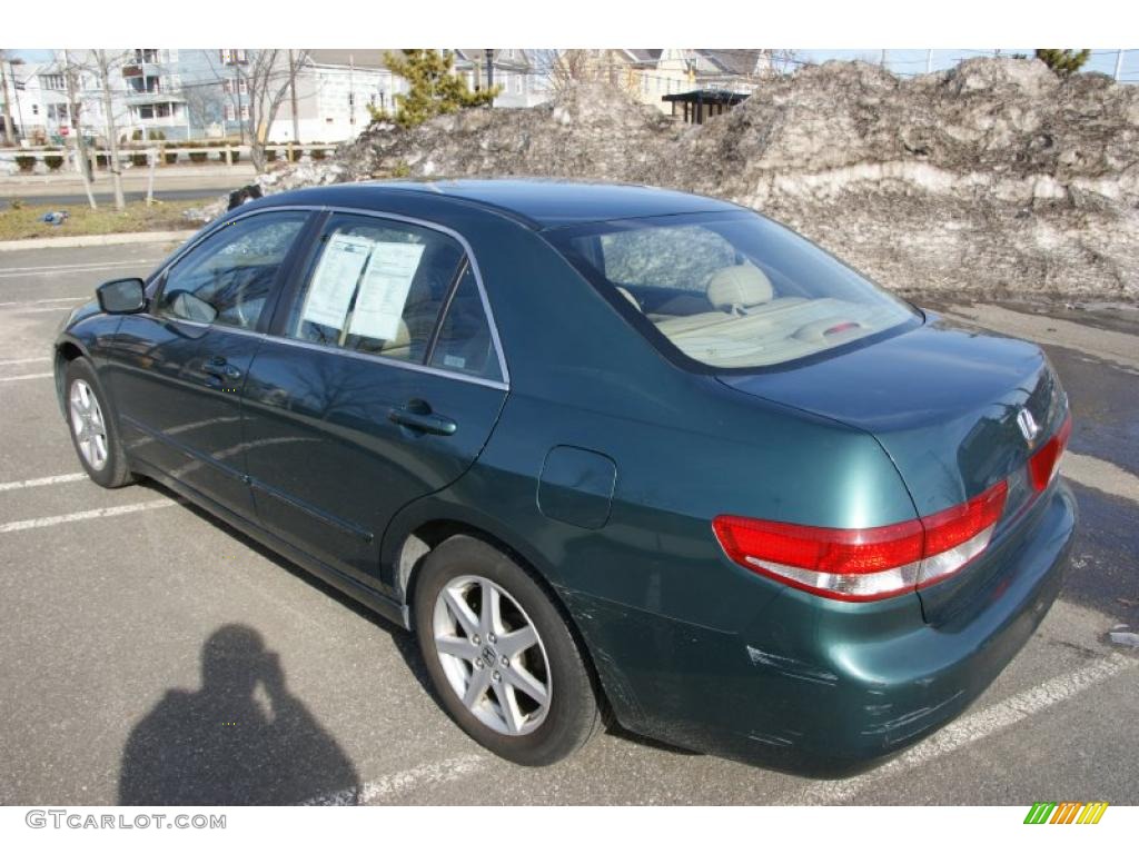 2003 Accord EX V6 Sedan - Noble Green Pearl / Gray photo #6
