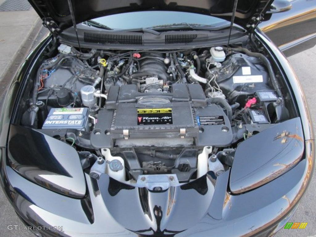 2000 Pontiac Firebird Trans Am WS-6 Coupe 5.7 Liter OHV 16-Valve LS1 V8 Engine Photo #46304209