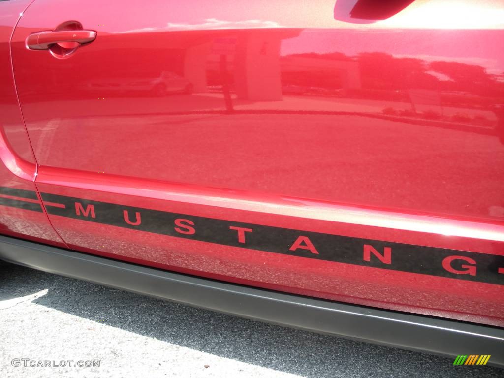 2005 Mustang V6 Premium Convertible - Redfire Metallic / Light Graphite photo #10