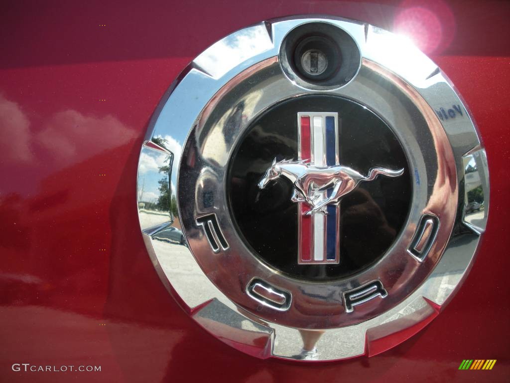 2005 Mustang V6 Premium Convertible - Redfire Metallic / Light Graphite photo #11