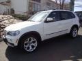 Alpine White - X5 4.8i Photo No. 2
