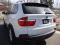 Alpine White - X5 4.8i Photo No. 4