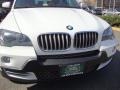 Alpine White - X5 4.8i Photo No. 10