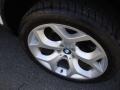 Alpine White - X5 4.8i Photo No. 23