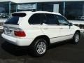 2005 Alpine White BMW X5 3.0i  photo #8