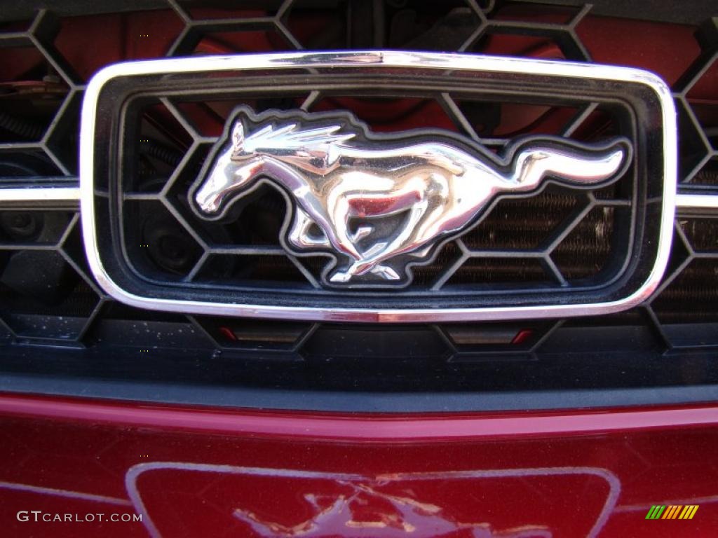 2006 Mustang V6 Premium Coupe - Redfire Metallic / Dark Charcoal photo #31