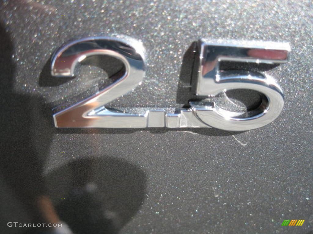 2010 Jetta Limited Edition Sedan - Platinum Grey Metallic / Titan Black photo #11