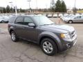 2011 Sterling Grey Metallic Ford Escape Limited V6 4WD  photo #6