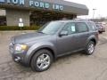 2011 Sterling Grey Metallic Ford Escape Limited V6 4WD  photo #8