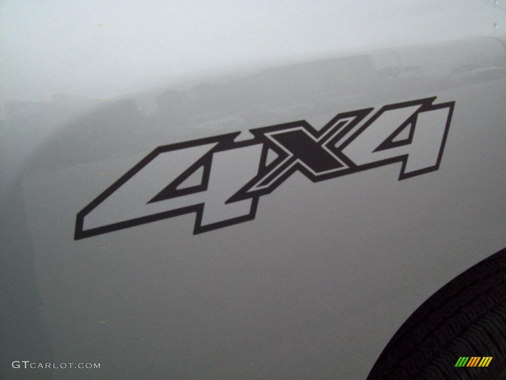 2010 Silverado 1500 LS Regular Cab 4x4 - Sheer Silver Metallic / Dark Titanium photo #16