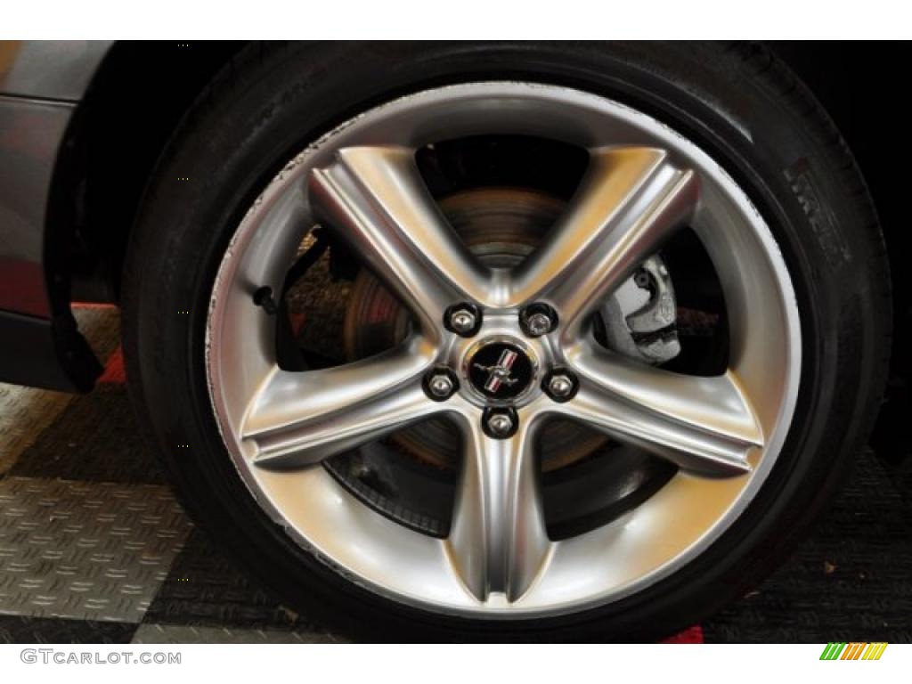 2010 Ford Mustang GT Premium Coupe Wheel Photo #46324005