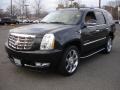 Black Raven - Escalade Luxury AWD Photo No. 1