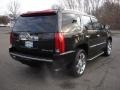 Black Raven - Escalade Luxury AWD Photo No. 4