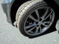2008 Smoky Granite Mica Lexus IS 250  photo #23