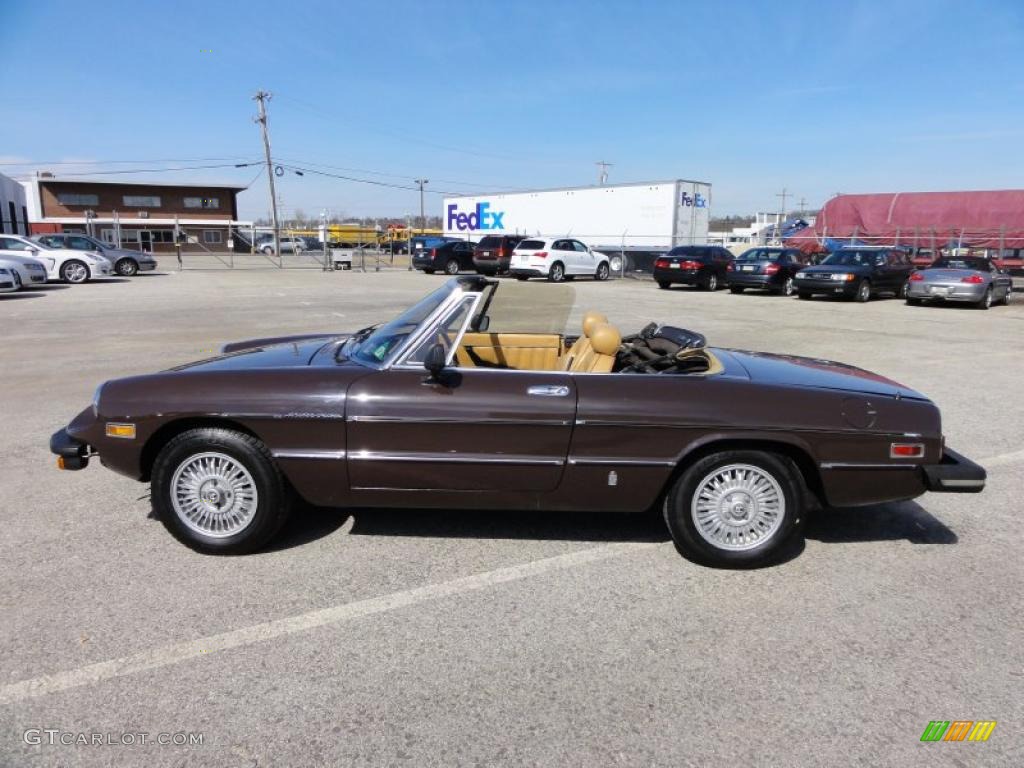 Brown 1981 Alfa Romeo Spider Veloce Exterior Photo #46330107