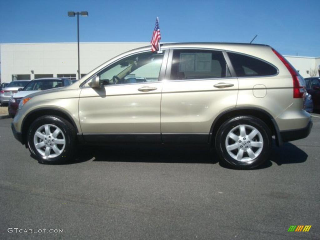2009 CR-V EX-L 4WD - Borrego Beige Metallic / Ivory photo #3