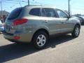 2008 Natural Khaki Green Hyundai Santa Fe GLS  photo #6