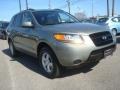 2008 Natural Khaki Green Hyundai Santa Fe GLS  photo #8