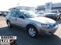 2005 Brilliant Silver Metallic Subaru Outback 2.5i Wagon  photo #1