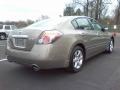 Pebble Beach Metallic - Altima 2.5 SL Photo No. 16