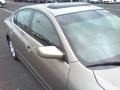 Pebble Beach Metallic - Altima 2.5 SL Photo No. 20