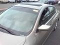 Pebble Beach Metallic - Altima 2.5 SL Photo No. 21