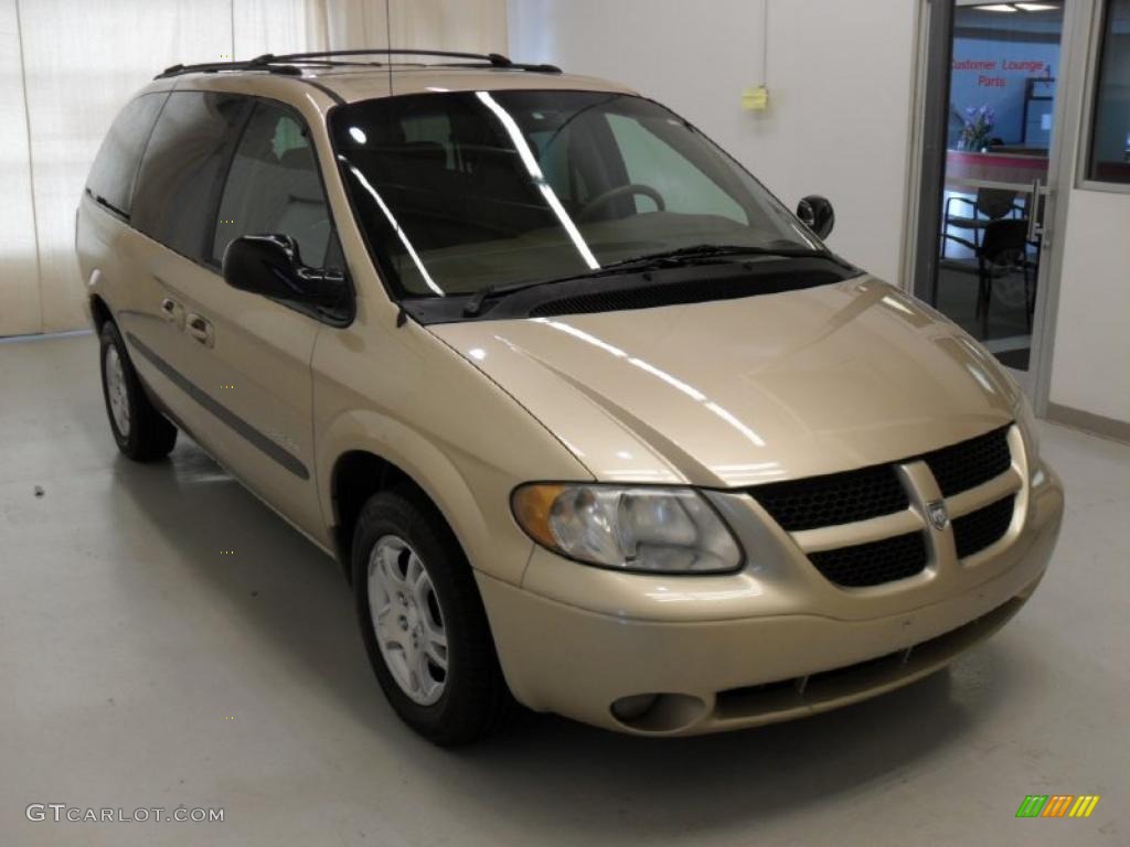 2001 Grand Caravan Sport - Champagne Pearl / Sandstone photo #5