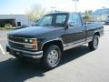 Sable Black 1989 Chevrolet C/K K1500 Scottsdale Regular Cab 4x4 Exterior