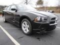 Brilliant Black Crystal Pearl - Charger SE Photo No. 4