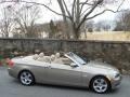 2008 Platinum Bronze Metallic BMW 3 Series 328i Convertible  photo #19