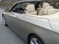 2008 Platinum Bronze Metallic BMW 3 Series 328i Convertible  photo #25