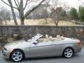 2008 Platinum Bronze Metallic BMW 3 Series 328i Convertible  photo #27