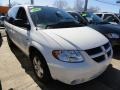 Stone White - Grand Caravan SXT Photo No. 6