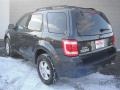2008 Black Pearl Slate Metallic Ford Escape XLT 4WD  photo #6