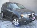 2008 Black Pearl Slate Metallic Ford Escape XLT 4WD  photo #2