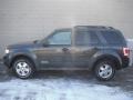 2008 Black Pearl Slate Metallic Ford Escape XLT 4WD  photo #3