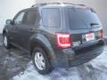 2008 Black Pearl Slate Metallic Ford Escape XLT 4WD  photo #6