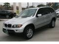 Titanium Silver Metallic - X5 3.0i Photo No. 7