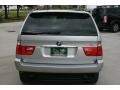 Titanium Silver Metallic - X5 3.0i Photo No. 10
