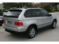 Titanium Silver Metallic - X5 3.0i Photo No. 11