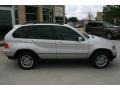 Titanium Silver Metallic - X5 3.0i Photo No. 12