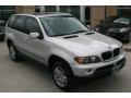Titanium Silver Metallic - X5 3.0i Photo No. 13