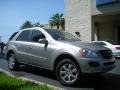 Pewter Metallic - ML 350 4Matic Photo No. 4