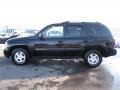 Black - TrailBlazer LS 4x4 Photo No. 13