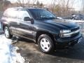 Black - TrailBlazer LS 4x4 Photo No. 17